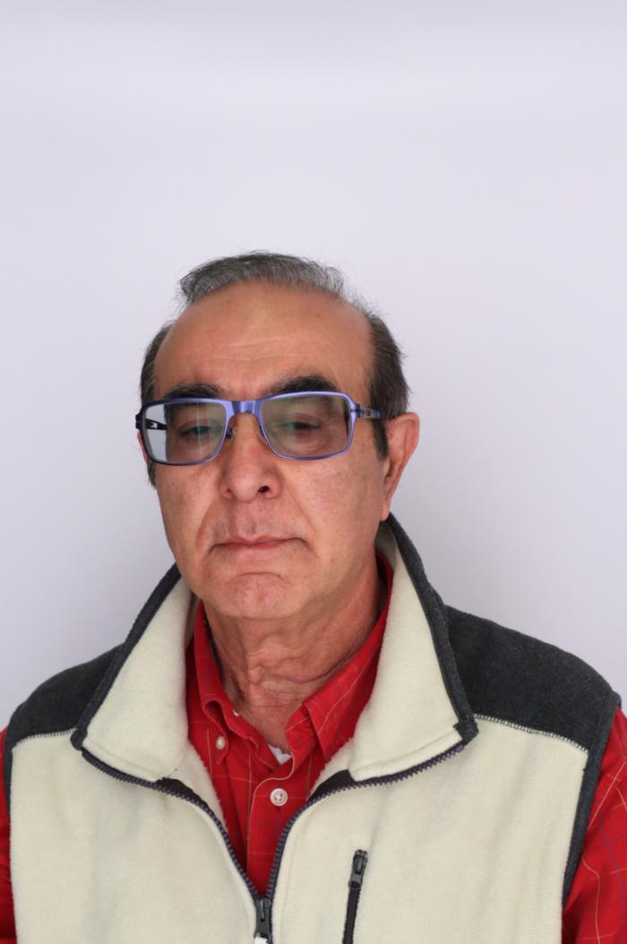 Saeid Amini